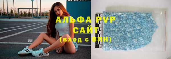 гашик Ладушкин