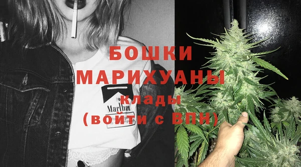 гашик Ладушкин