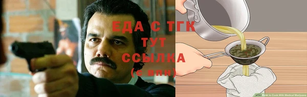 гашик Ладушкин