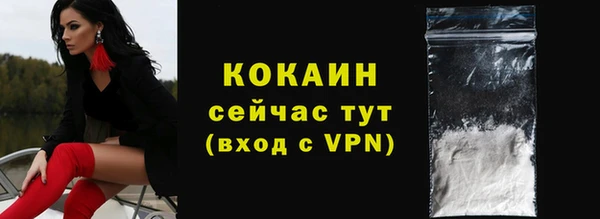 гашик Ладушкин