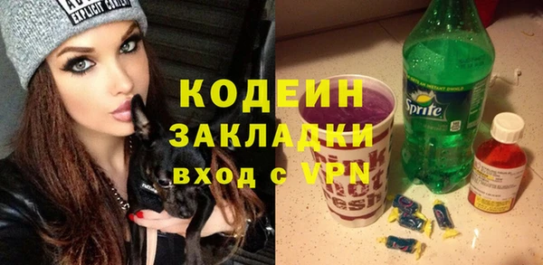 гашик Ладушкин