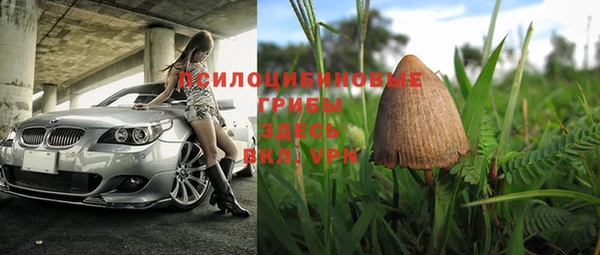 mix Лабытнанги